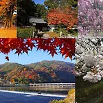 Saizen Matsumuro Stay