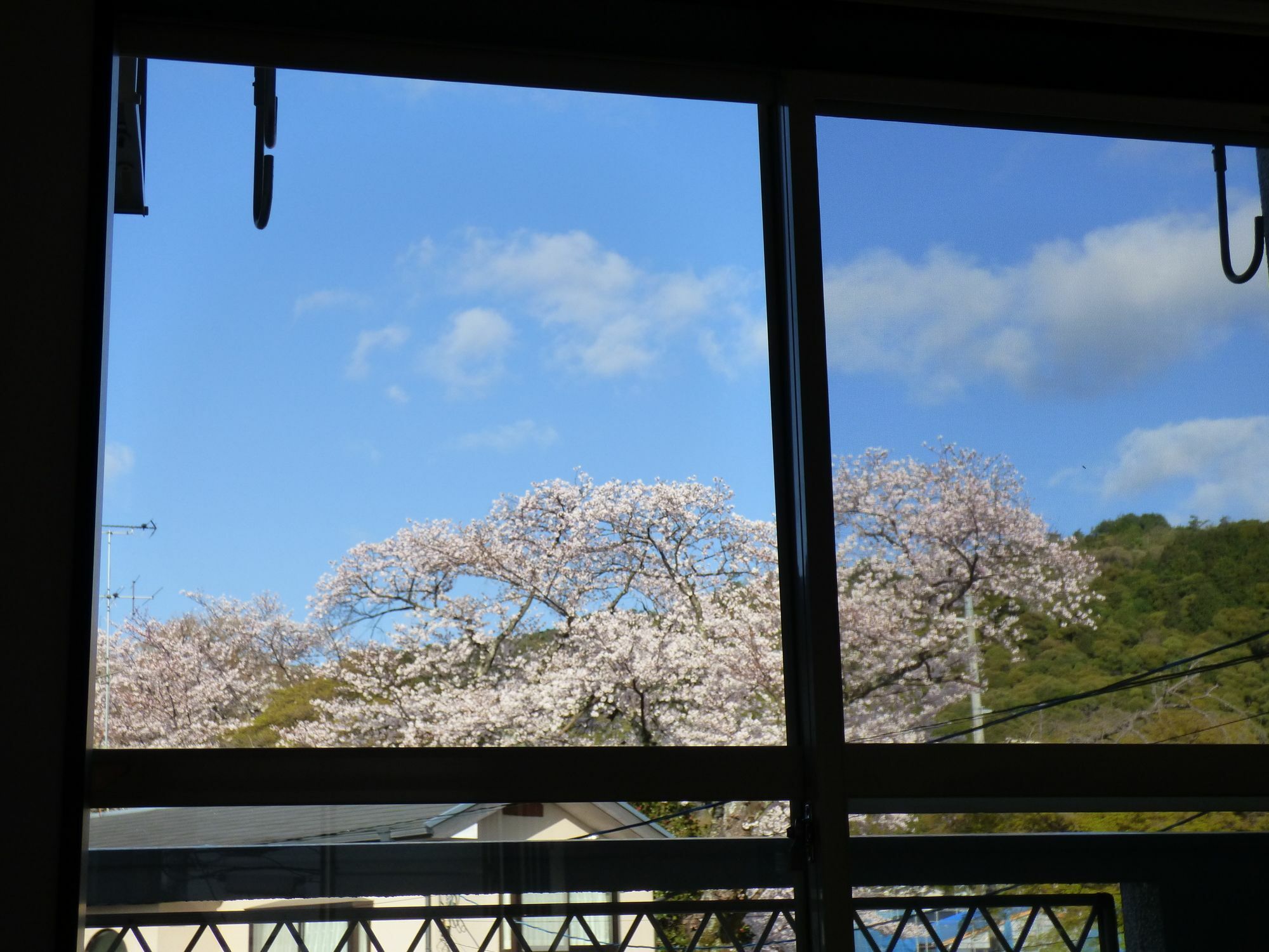 Apartment Saizen Matsumuro Kyōto